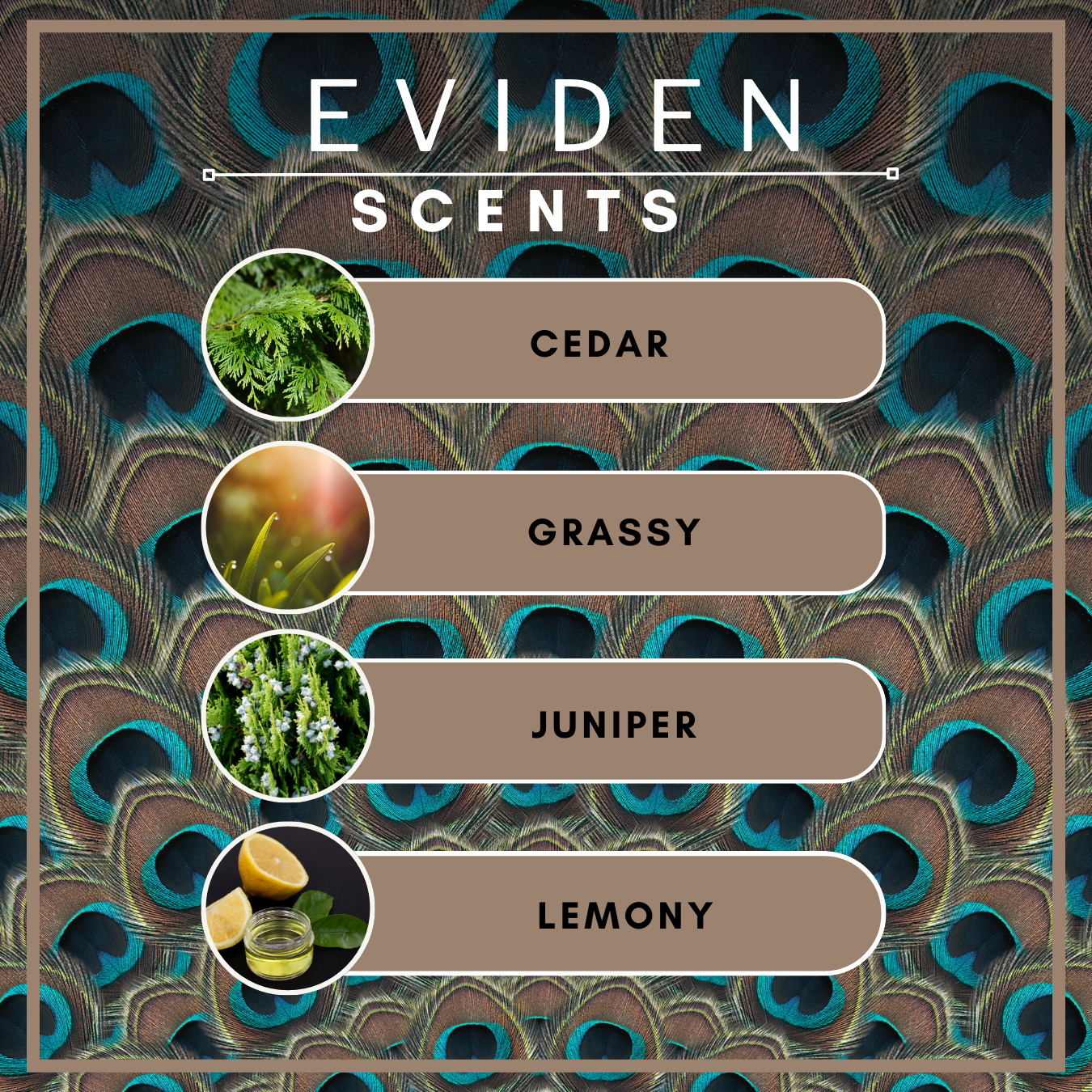 Eviden Vegan Beard Butter