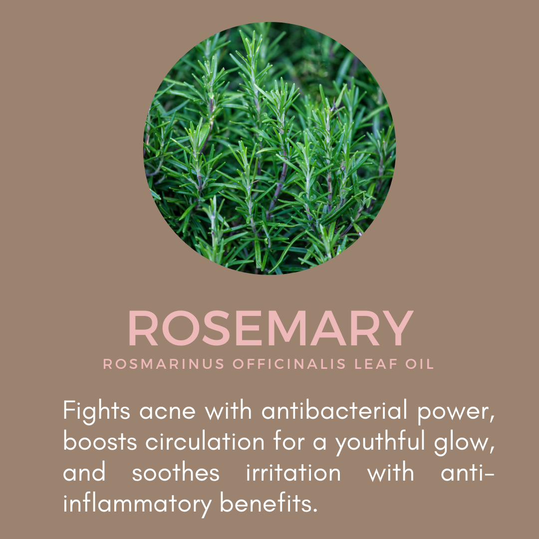 Rosemary Whipped Body Butter
