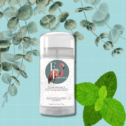 Eucalyptus & Mint Pure Protect Deodorant Stick